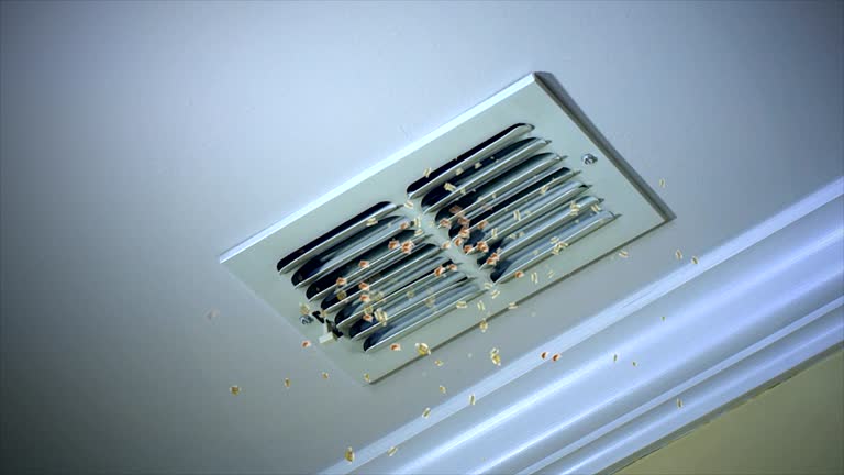 Best Home Air Vent Cleaning  in Mounds View, MN
